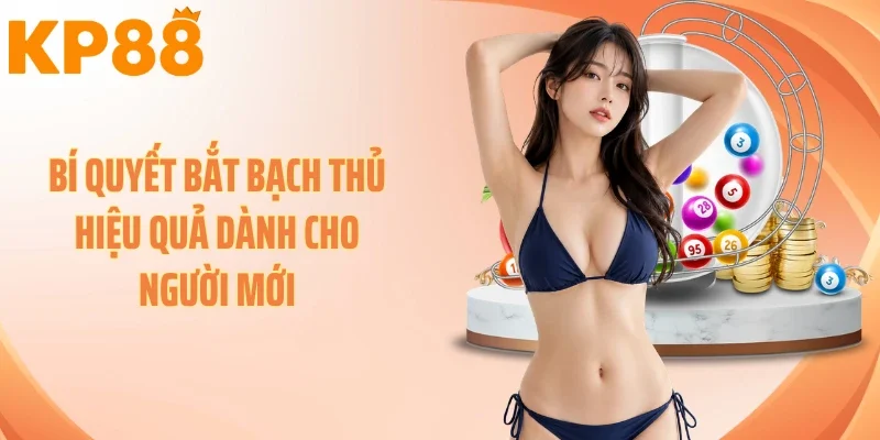 Bí Quyết Bắt Bạch Thủ Hiệu Quả Dành Cho Người Mới